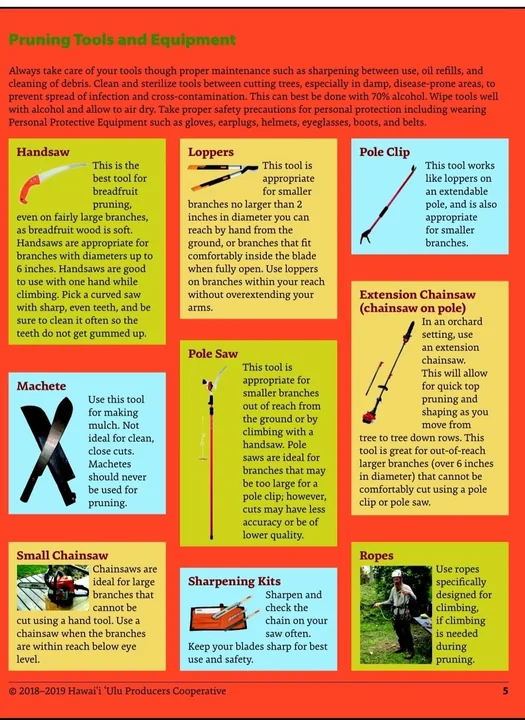 An illustrated reference sheet identifying common farm and pruning tools