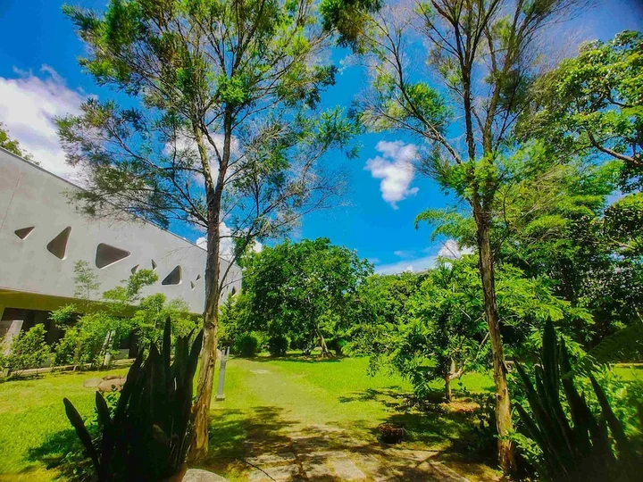 The Yoga Wellness Center beside lawns, mature trees and tropical plants under a blue sky
